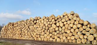 Traitement pr&eacute;ventif des gr&ucirc;mes et bois aviv&eacute;s. Anti gerce, anti fentes, anti bleuissement, anti noircissement. Pr&ecirc;t &agrave; l&rsquo;emploi. iBiotec BIO PROTECT 450. Traitement bois. Anti gerce bois. Anti fentes bois. Anti bleuissement bois. Anti noircissement bois. Transformation du bois. Premiere transformation du bois